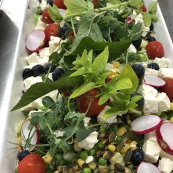 Mad ud af huset Esbjerg